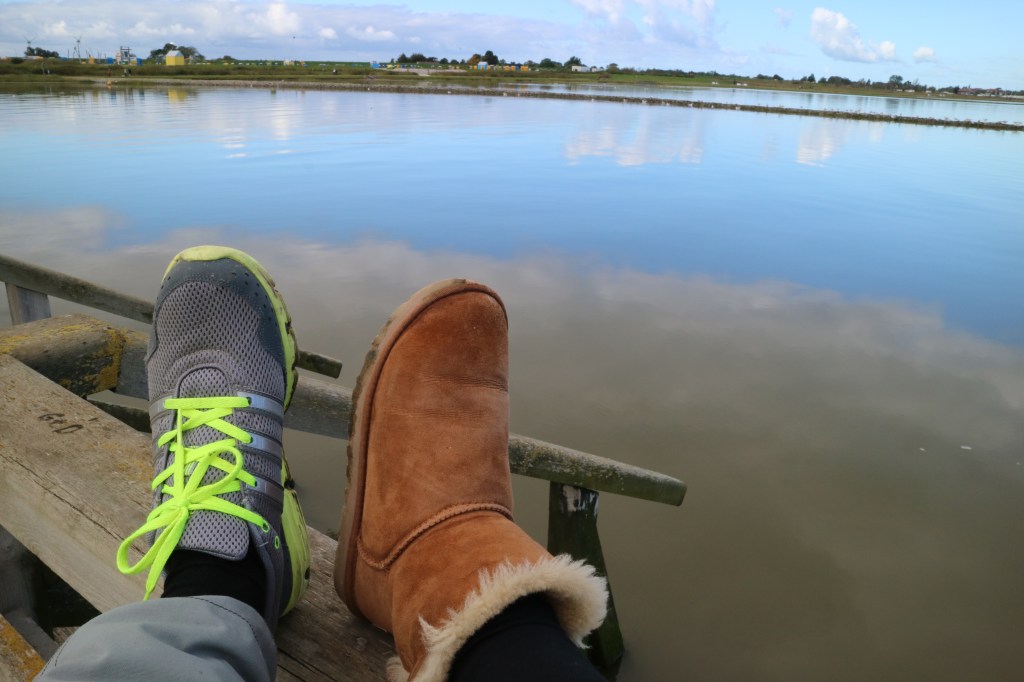 A true friend every&nbsp;day